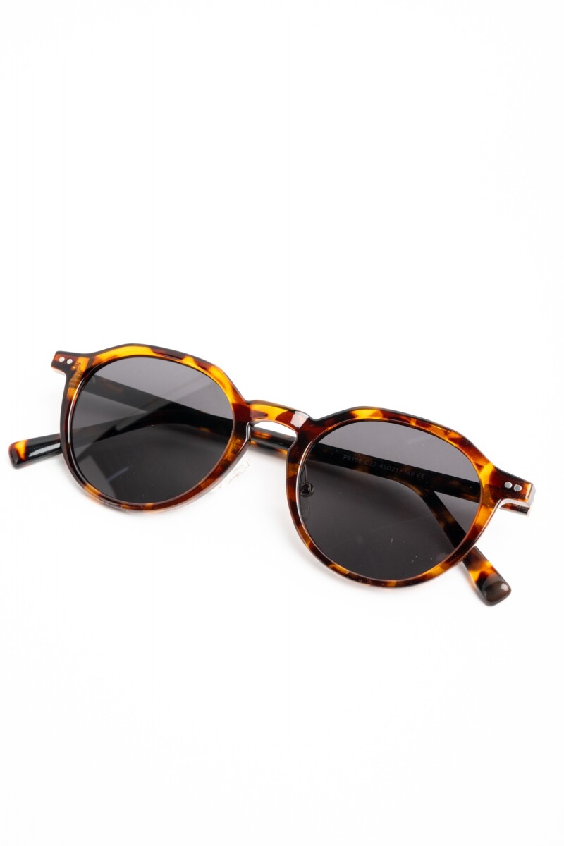 Lentes De Sol Polarizados Marron