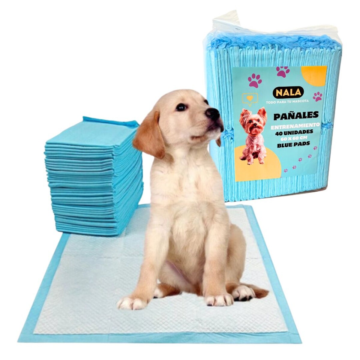 Pañales Entrenamiento Mascotas 60x60cm Sabanilla Absorbente x40 unidades 