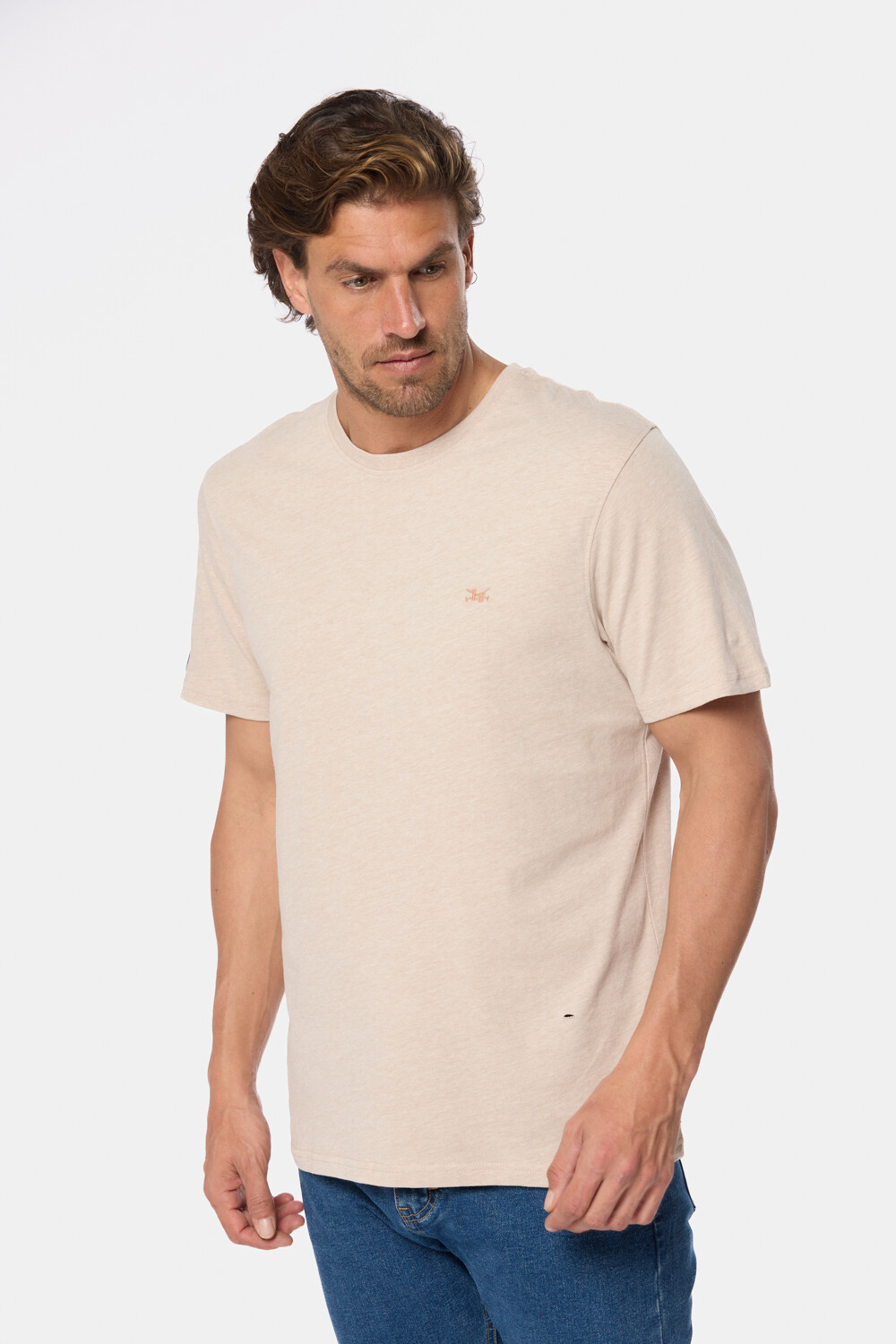 REMERA LISA DE ALGODÓN Beige