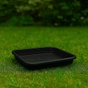 PLATO CUADRADO PLASMONT NEGRO 30CM PLATO CUADRADO PLASMONT NEGRO 30CM