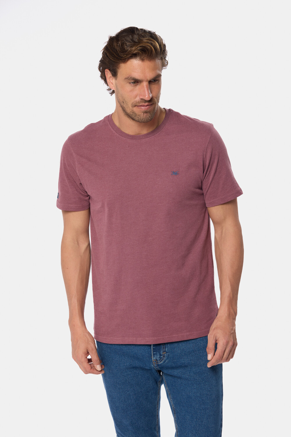 REMERA LISA Bordo