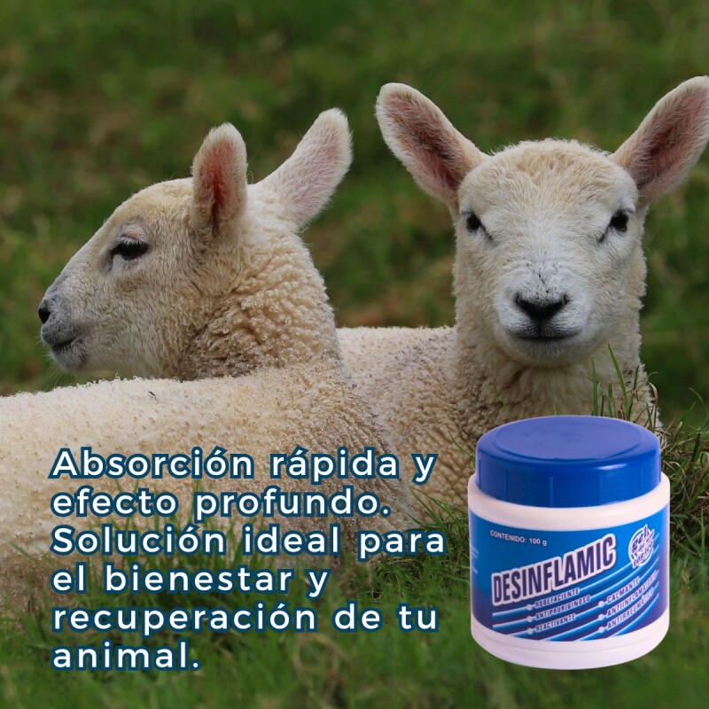 DESINFLAMIC GEL ANTIINFLAMATORIO CALMANTE ANTIREUMÁTICO X 100 GRS DESINFLAMIC GEL ANTIINFLAMATORIO CALMANTE ANTIREUMÁTICO X 100 GRS