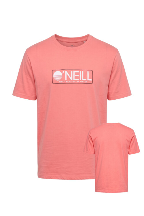 Remera O'Neill Pacific Horizon Coral