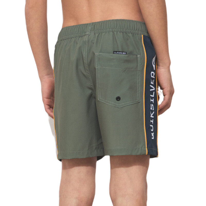 Short Quiksilver de niño Logo - Verde Short Quiksilver de niño Logo - Verde