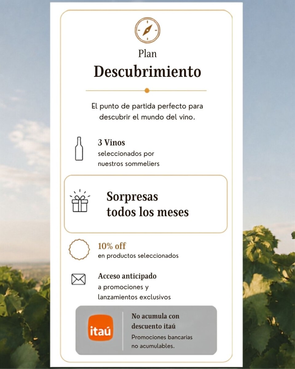 Plan Descubrimiento 