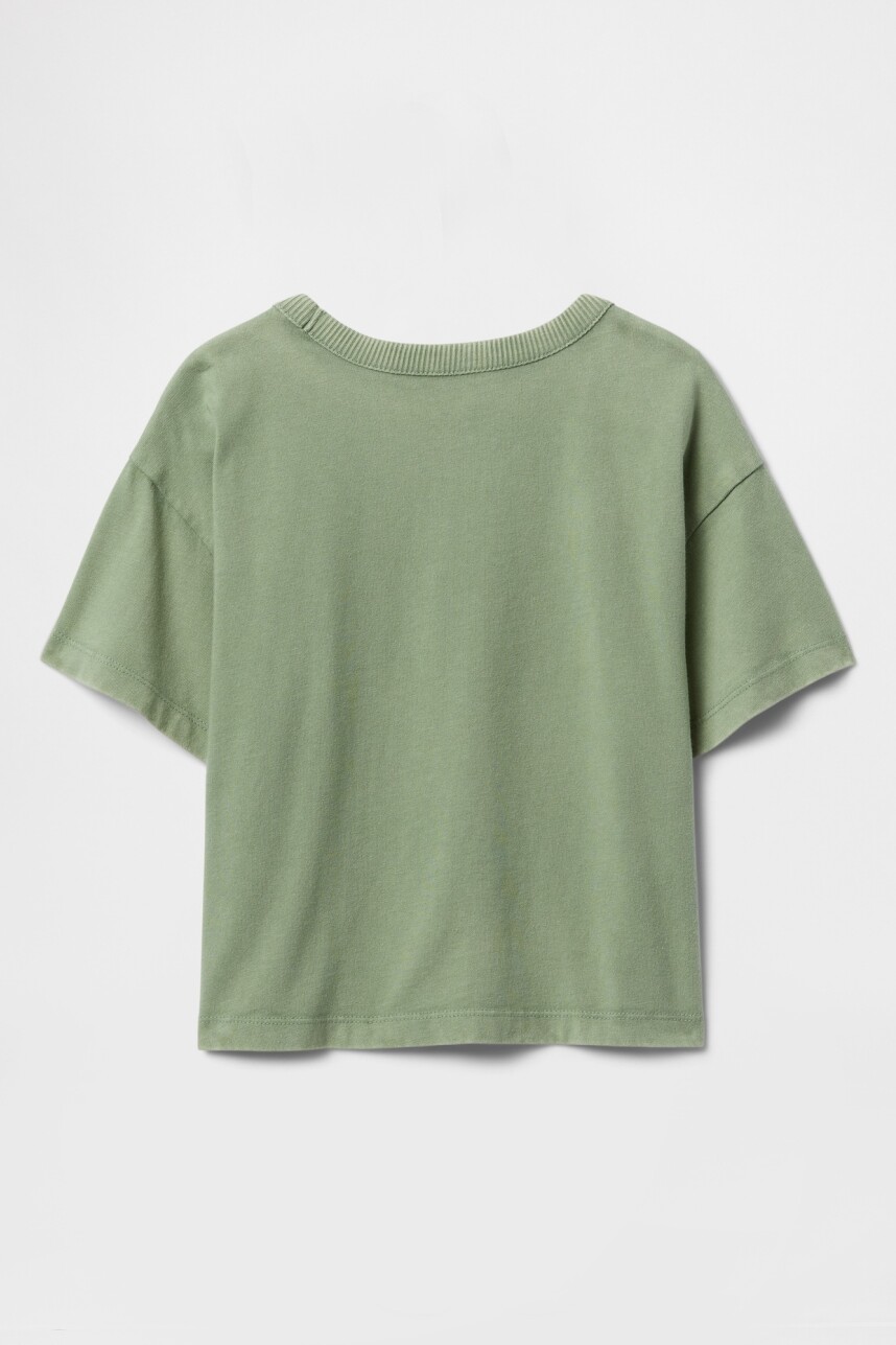 Remera Washed Toddler Niño Twig