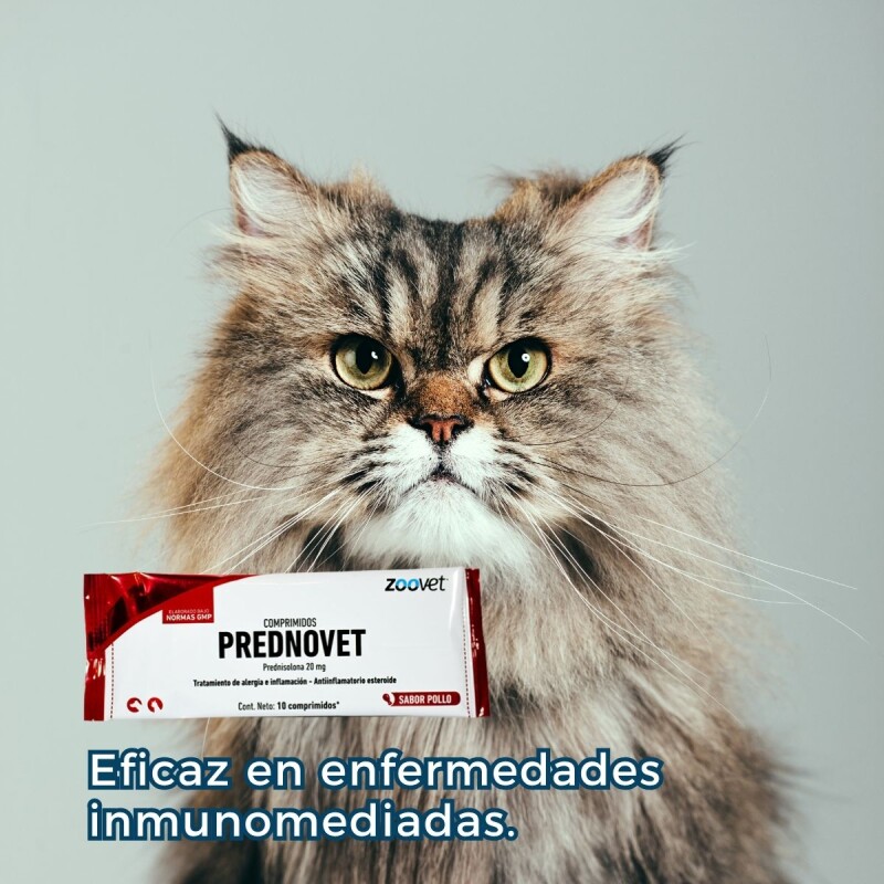 PREDNOVET 20 MG X 10 COMPRIMIDOS SABOR POLLO PREDNOVET 20 MG X 10 COMPRIMIDOS SABOR POLLO