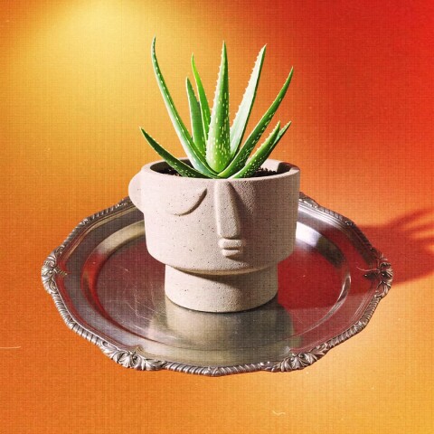 Maceta de cerámica Pórtico Maceta de cerámica Pórtico