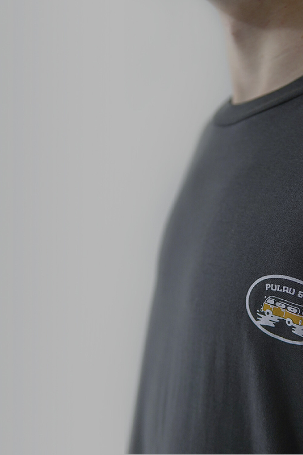 Remera Pulau Combi Gris