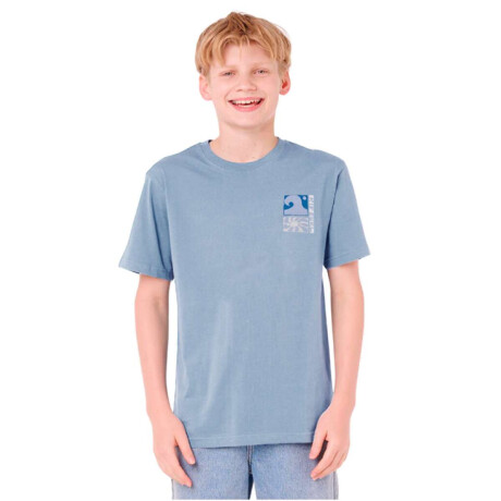 Remera Rip Curl Aots Ty Coast Tee -Boy