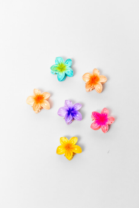 Pinza De Pelo Amaru, Set 6 Piezas Estampado 1