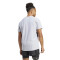Remera de Hombre Adidas Own the Run Plateado
