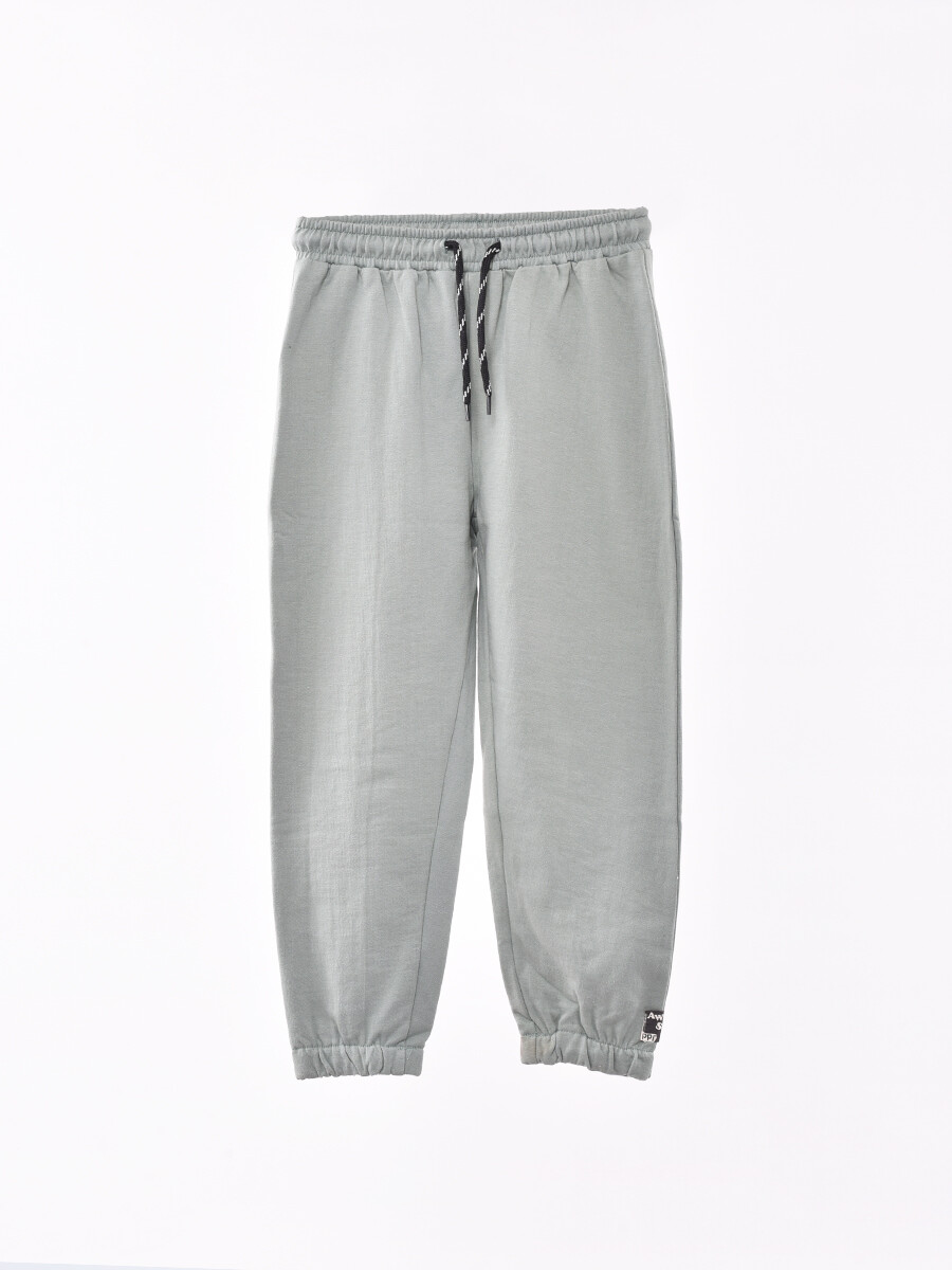 PANTALON RANDAL - VERDE GRISACEO 