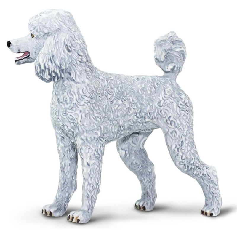 Caniche Safari 100063 Caniche Safari 100063