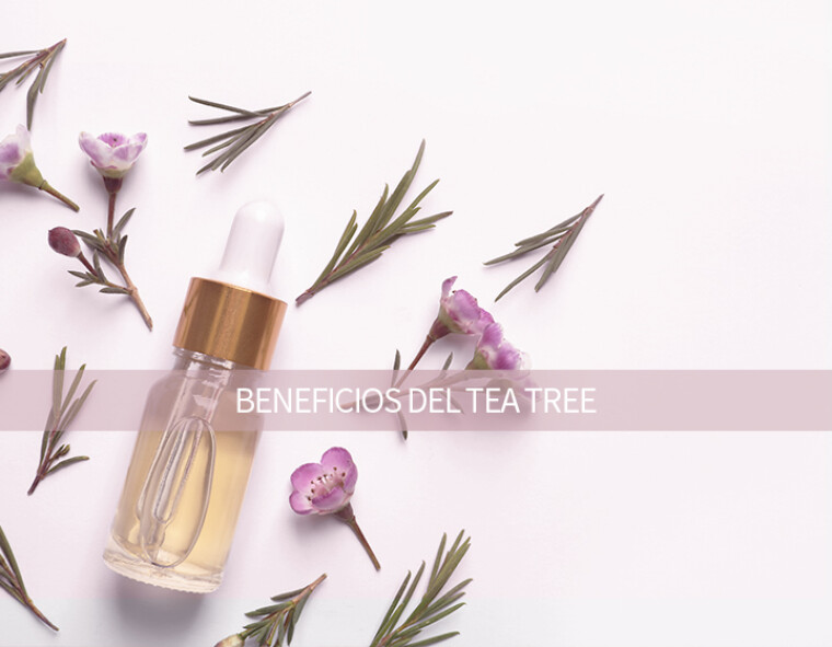 TEA TREE – Los beneficios del aceite de árbol del té en la cosmética