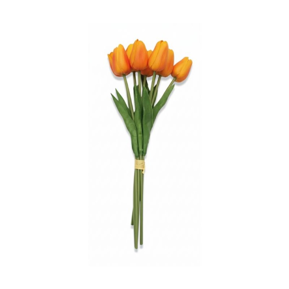 Ramo 9 Tulipanes - Naranja Ramo 9 Tulipanes - Naranja