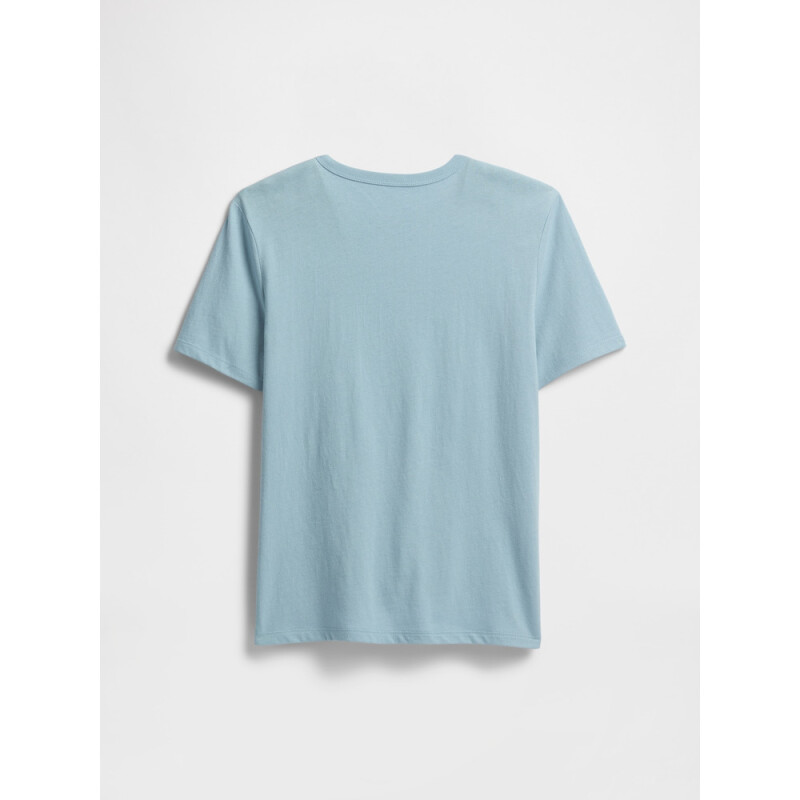 V-MAY SS VALUE GR BLUE ICE