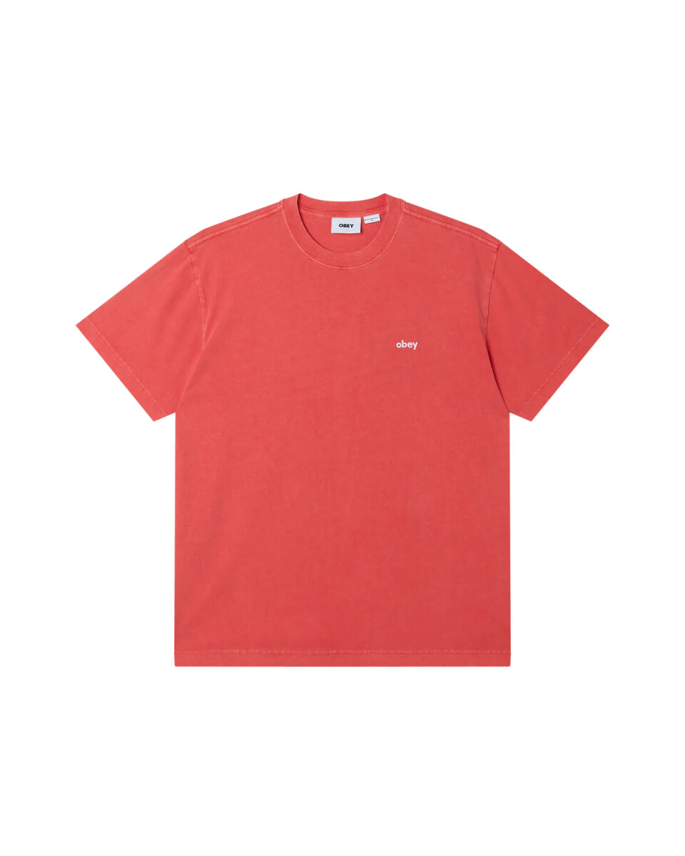 LOWERCASE PIGMENT TEE SS 