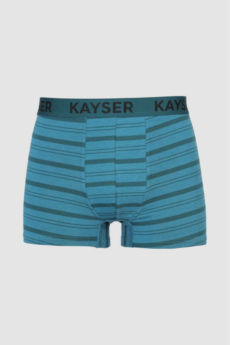 93-406 boxer algodón kayser - Royal secret 