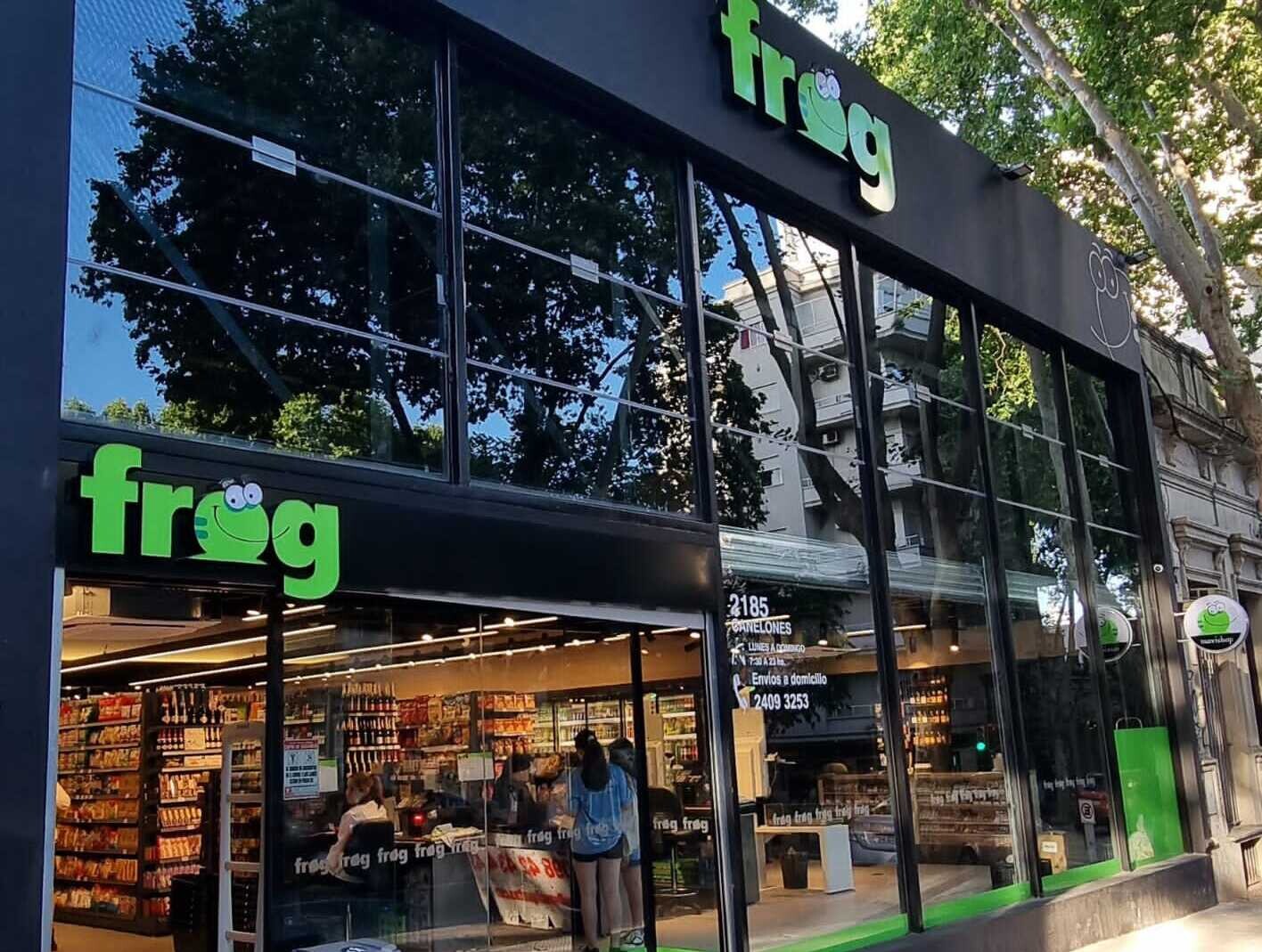 Frog 18