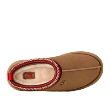 Botas UGG Slippers Tazz Ii