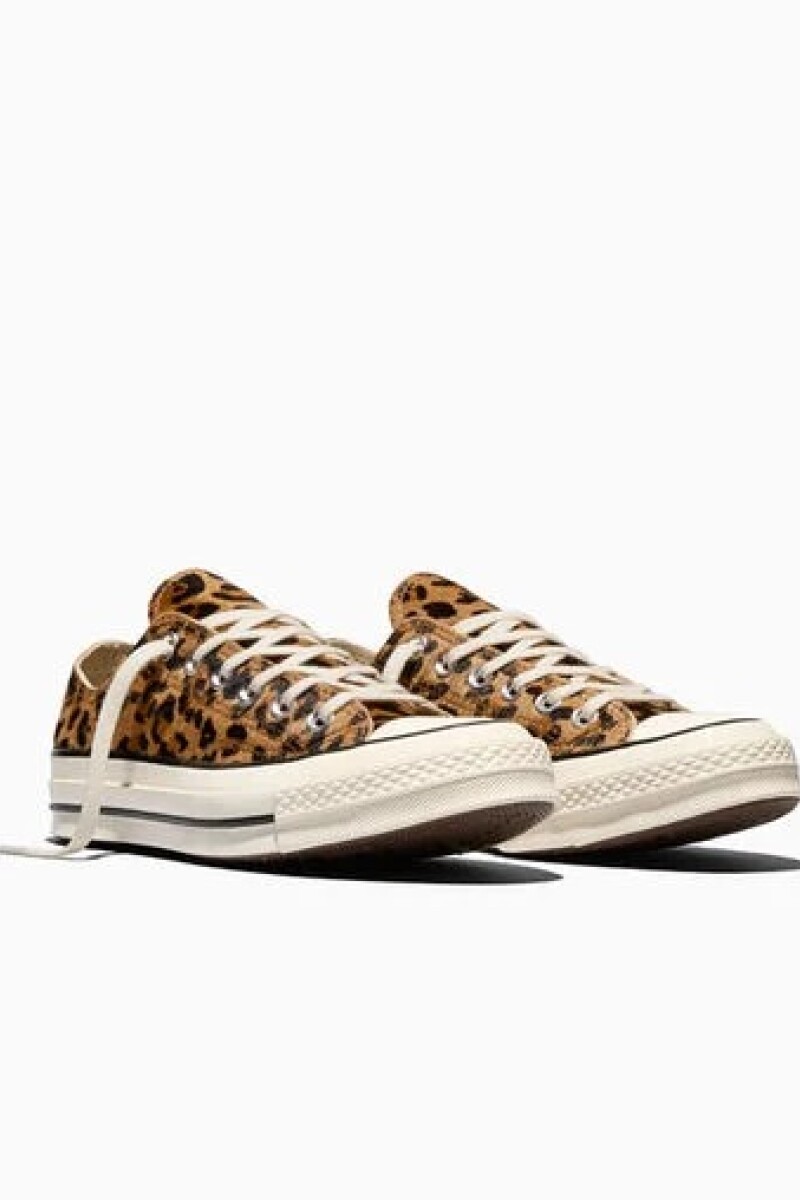 CHUCK 70 LEOPARD PRINT Leopardo