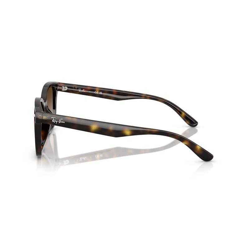 Ray Ban Rb4461d 710/13