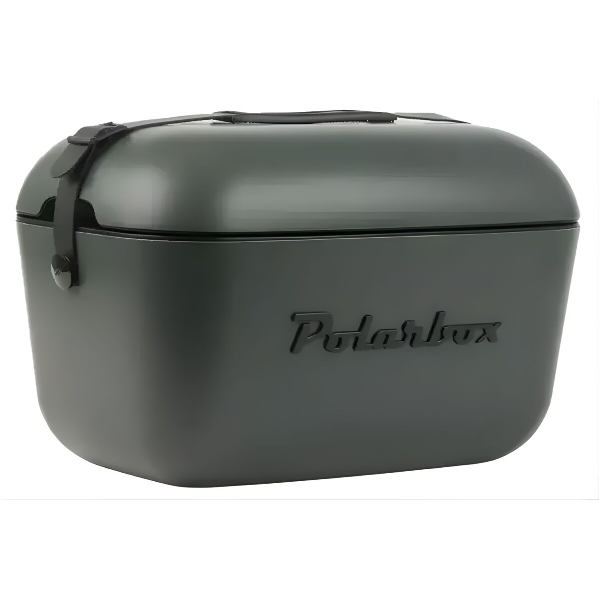 Conservadora Polarbox 20L Special - Verde Forest y Negro 