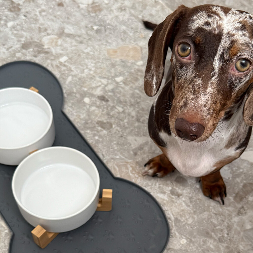 Base Silicona Hueso Base Silicona Hueso