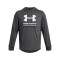 UA Rival Terry Graphic Hood-BLU GRY-025