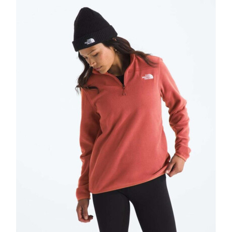 Buzo polar Glacier Mars Dust