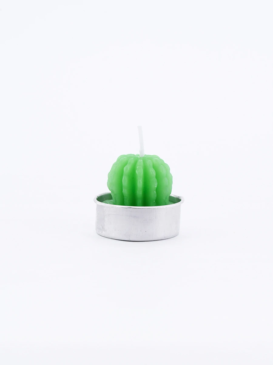 SUCULENTA VELA CACTUS - VERDE 