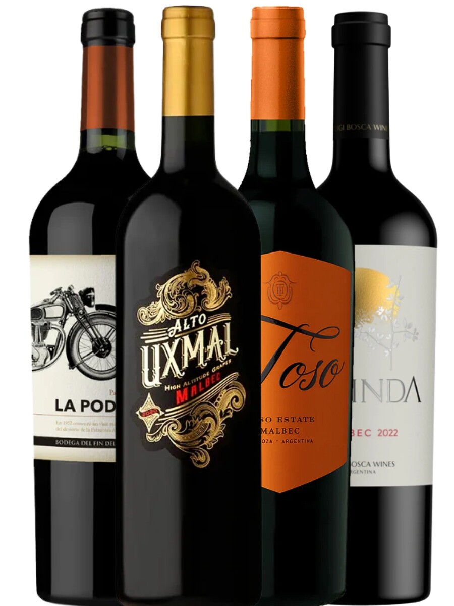 Puro Malbec XXII 