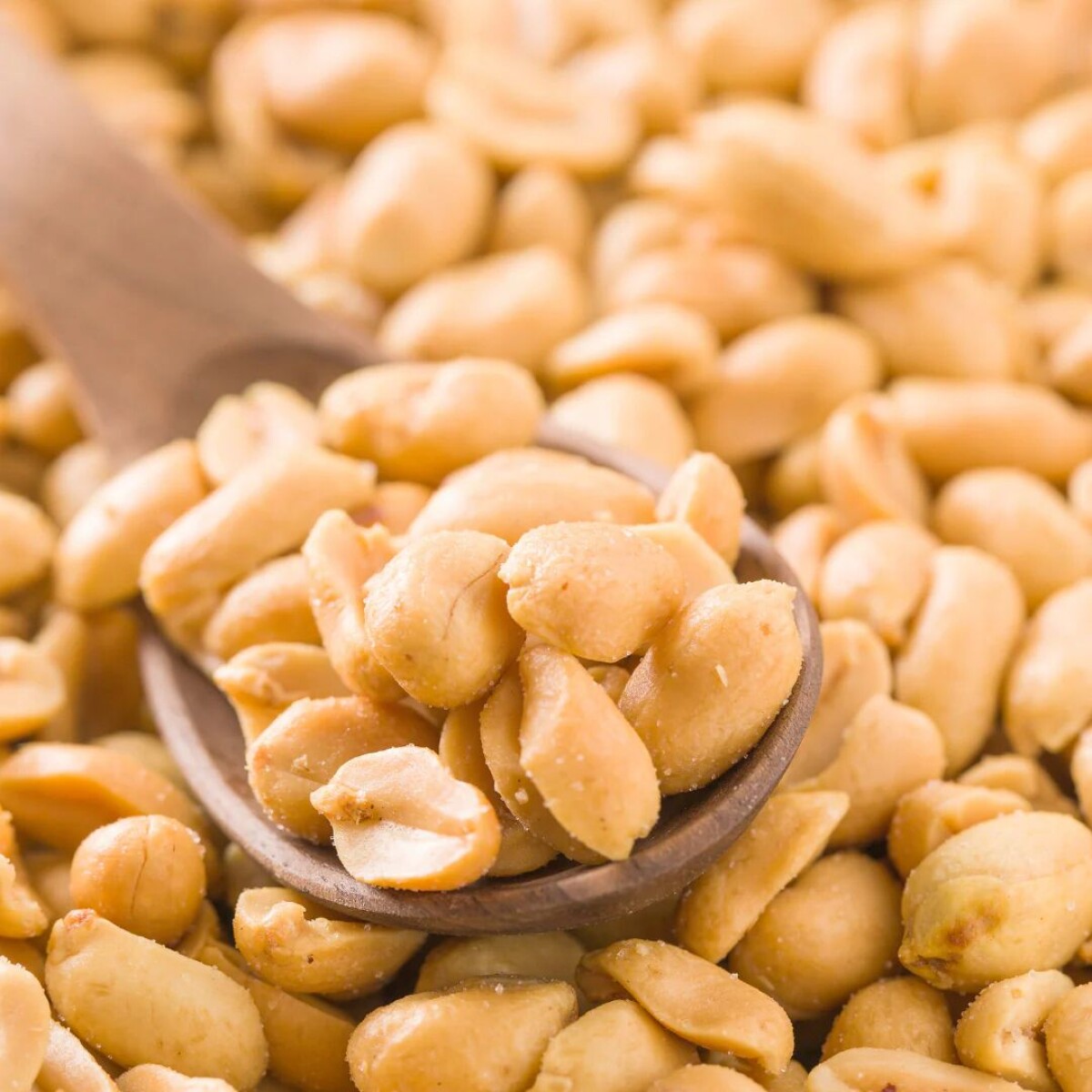 Maní pelado tostado s/sal 