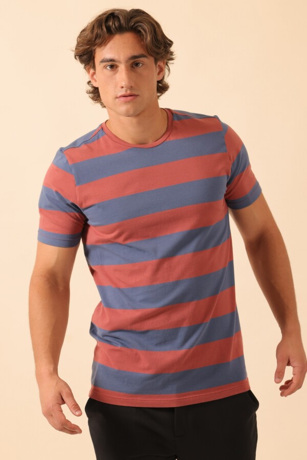 Remera a Rayas. Remera a Rayas.
