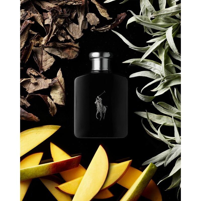 Perfume Polo Black Ralph Lauren 75ml Perfume Polo Black Ralph Lauren 75ml