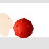 Juguete Pelota con Relieve Juguete Pelota con Relieve