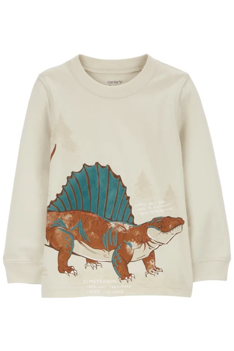 Remera de algodón, manga larga, estampa dino. Talles 2-5T Remera de algodón, manga larga, estampa dino. Talles 2-5T