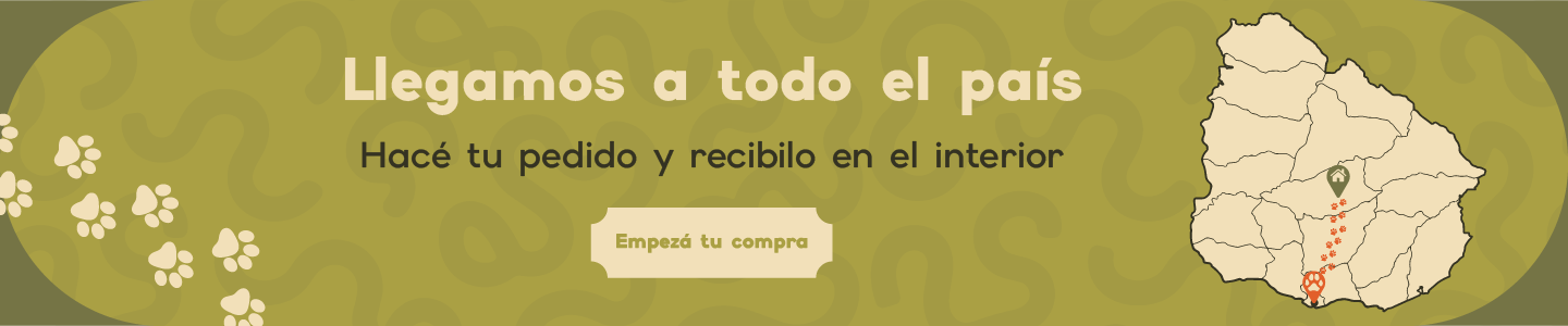 HomeSlider