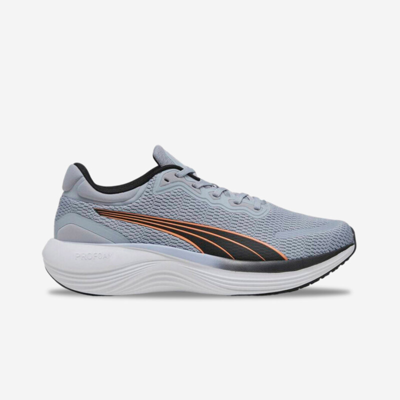 Calzado Puma 378776/12 Calzado Puma 378776/12