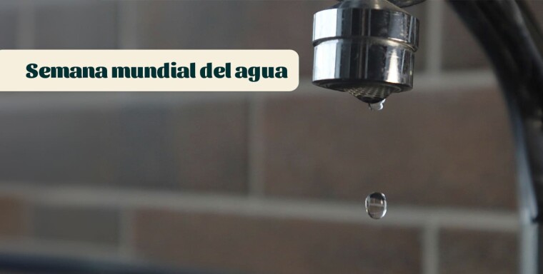 ¡Semana Mundial del Agua!