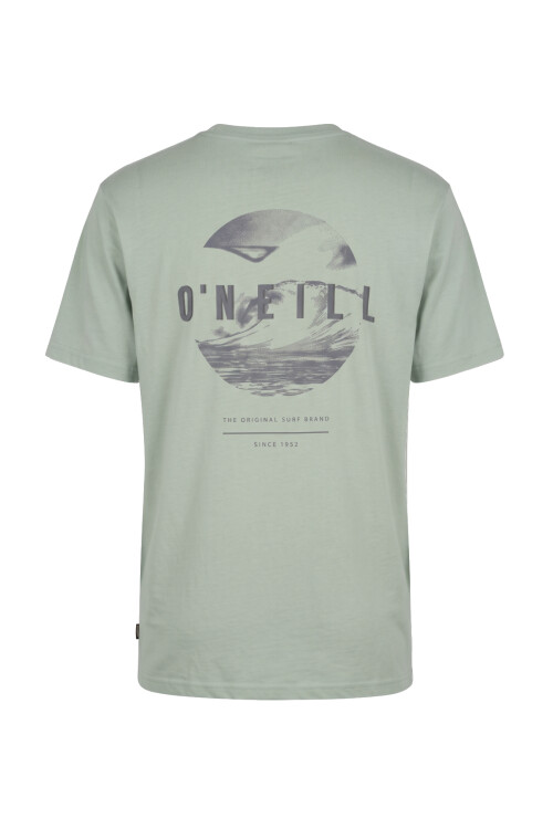 Remera O'Neill Circle Top Verde