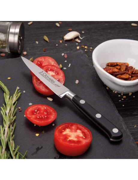 CUCHILLO VEGETALES 10CM C/ PVC MANGO NEGRO FORGE 3 CLAVELES CUCHILLO VEGETALES 10CM C/ PVC MANGO NEGRO FORGE 3 CLAVELES