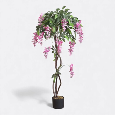 Árbol De Flor De Glicina Árbol De Flor De Glicina