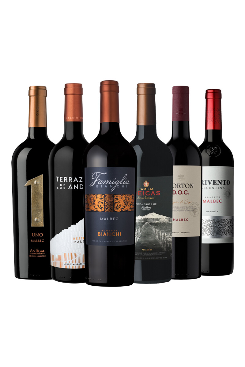 Pack Bacán Selección Coordenada de Altura x6 vinos argentinos 