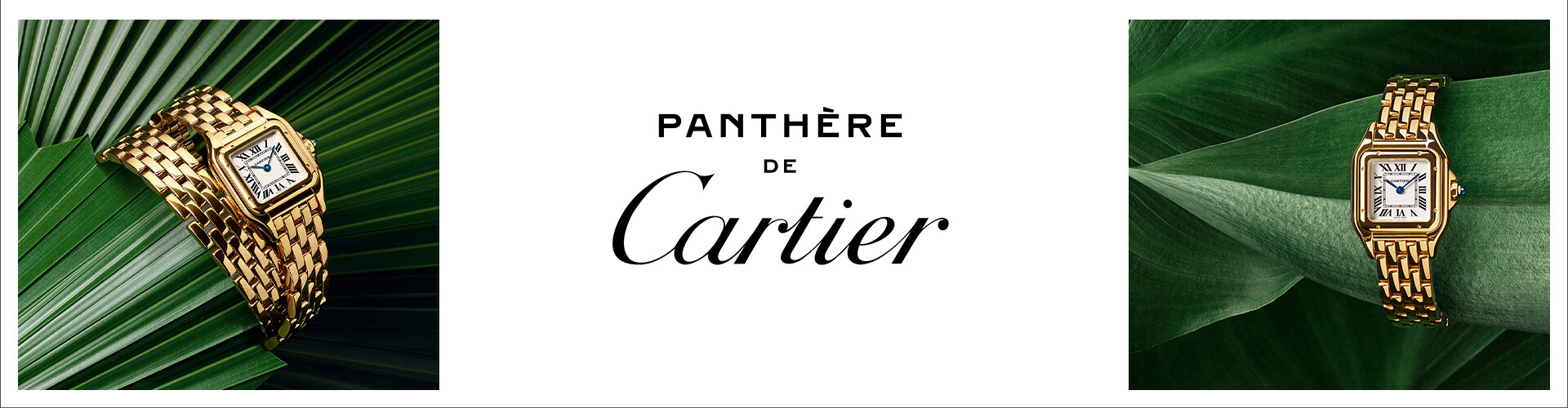 Cartier_ Phantere