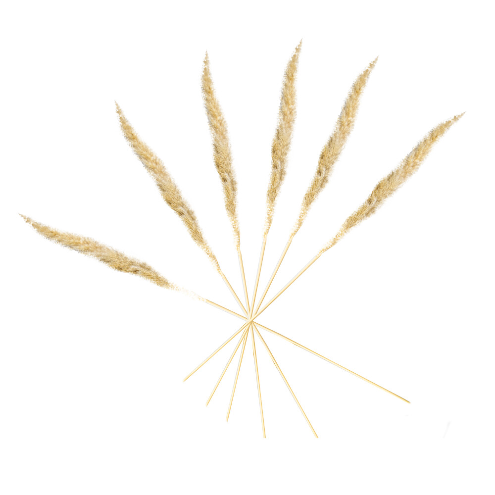6 PAMPAS ARTIFICIAL NATURAL-BEIGE RAMO