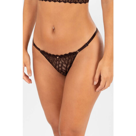 Colaless tirita enigma Marron