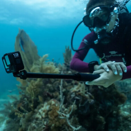 Gopro - Vara de Extensión AGXTM-001. Extensible Hasta 1.2 Metros. Plegable Hasta 25CM. Soporte de 1/ 001