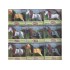 OUTLET Caballo caja 10*9 cm Outlet Caballo Caja 10*9 Cm